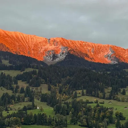 Cozy In Alpendorf, Interlaken Region Diemtigen