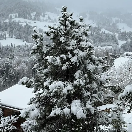 Cozy In Alpendorf, Interlaken Region